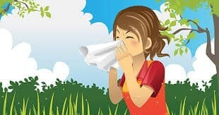 Surviving Allergy Season Naturally