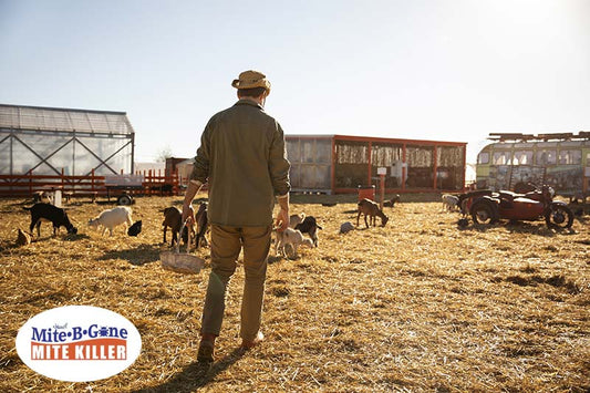 Safe Mite Treatment for Farm Animals: Mite-B-Gone