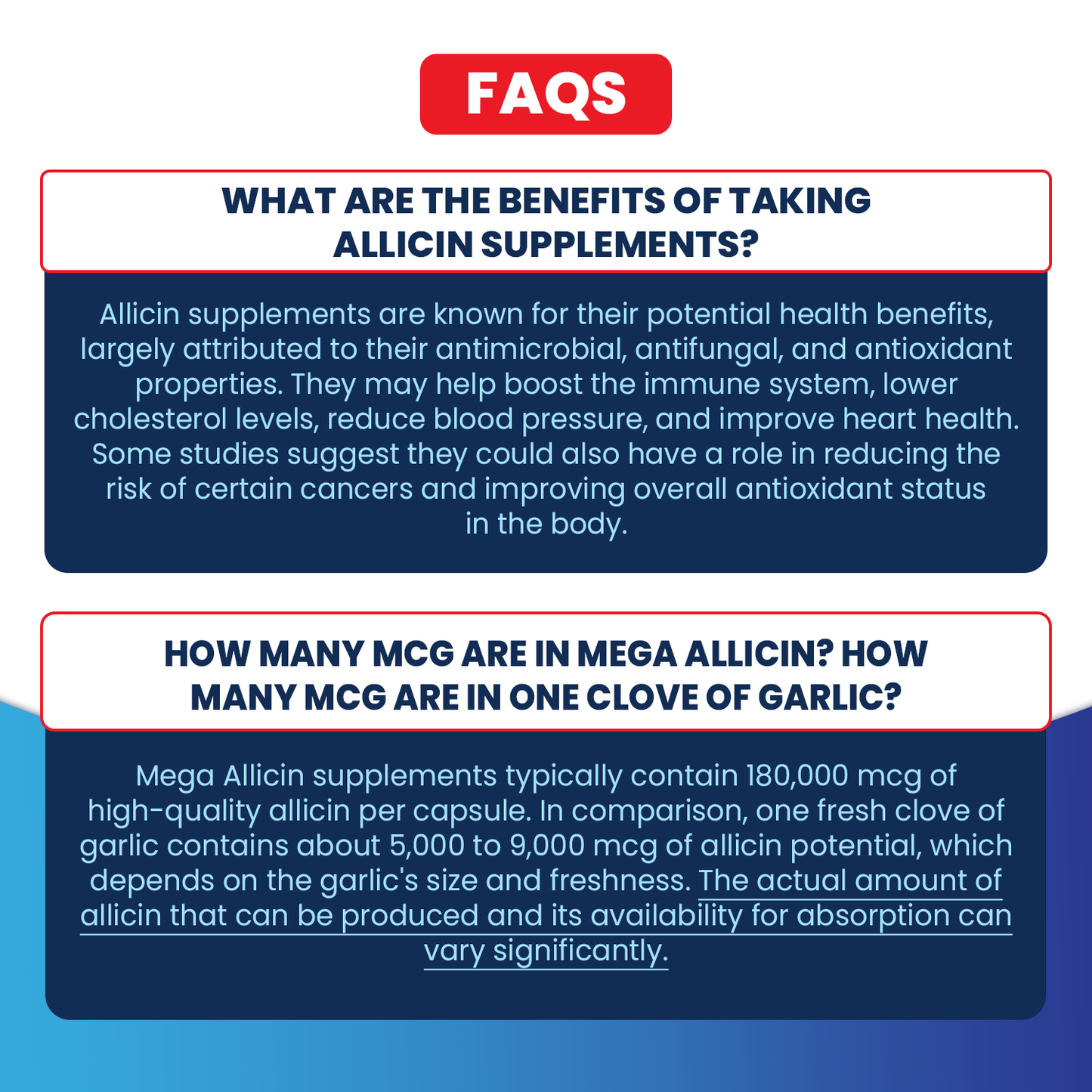 Mega Allicin 100% Allicin from Premium Garlic - 90 Count