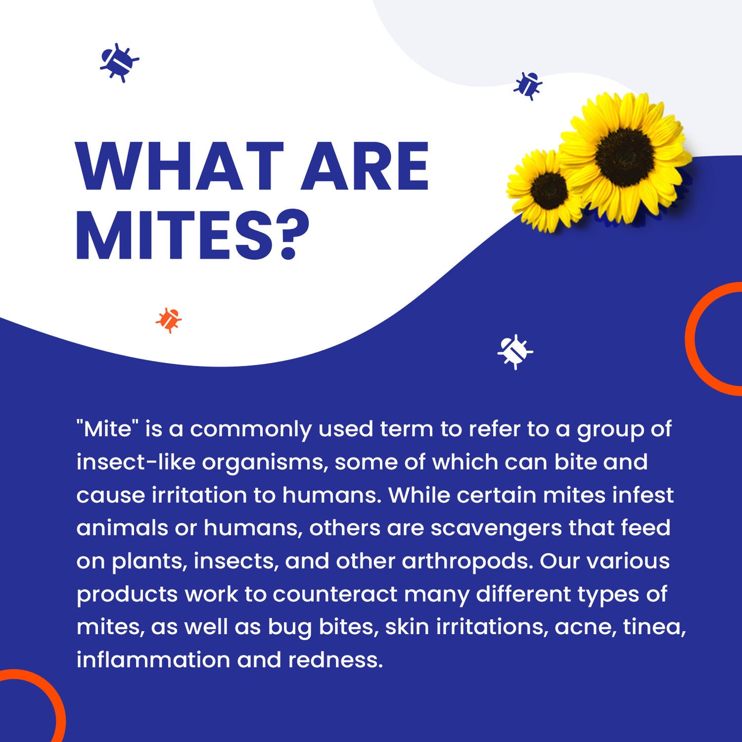 Mite-B-Gone Sulfur Lotion (8oz) | Itch Relief from Mites, Insect Bites, Acne, and Fungus