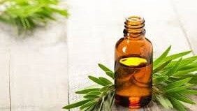 Top 10 Uses for Tea Tree Oil