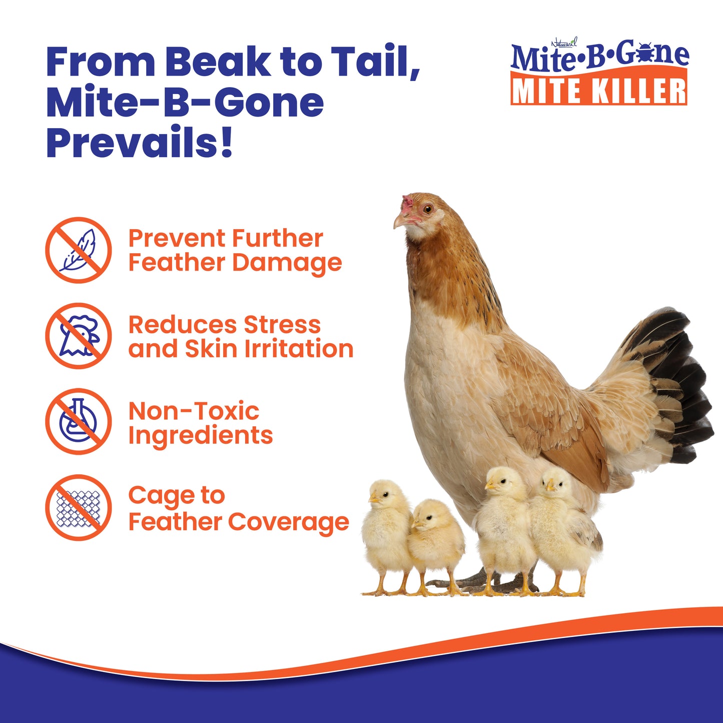 Advertisement for Mite-B-Gone with a chicken and chicks on a white background
