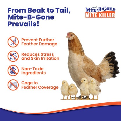 Advertisement for Mite-B-Gone with a chicken and chicks on a white background