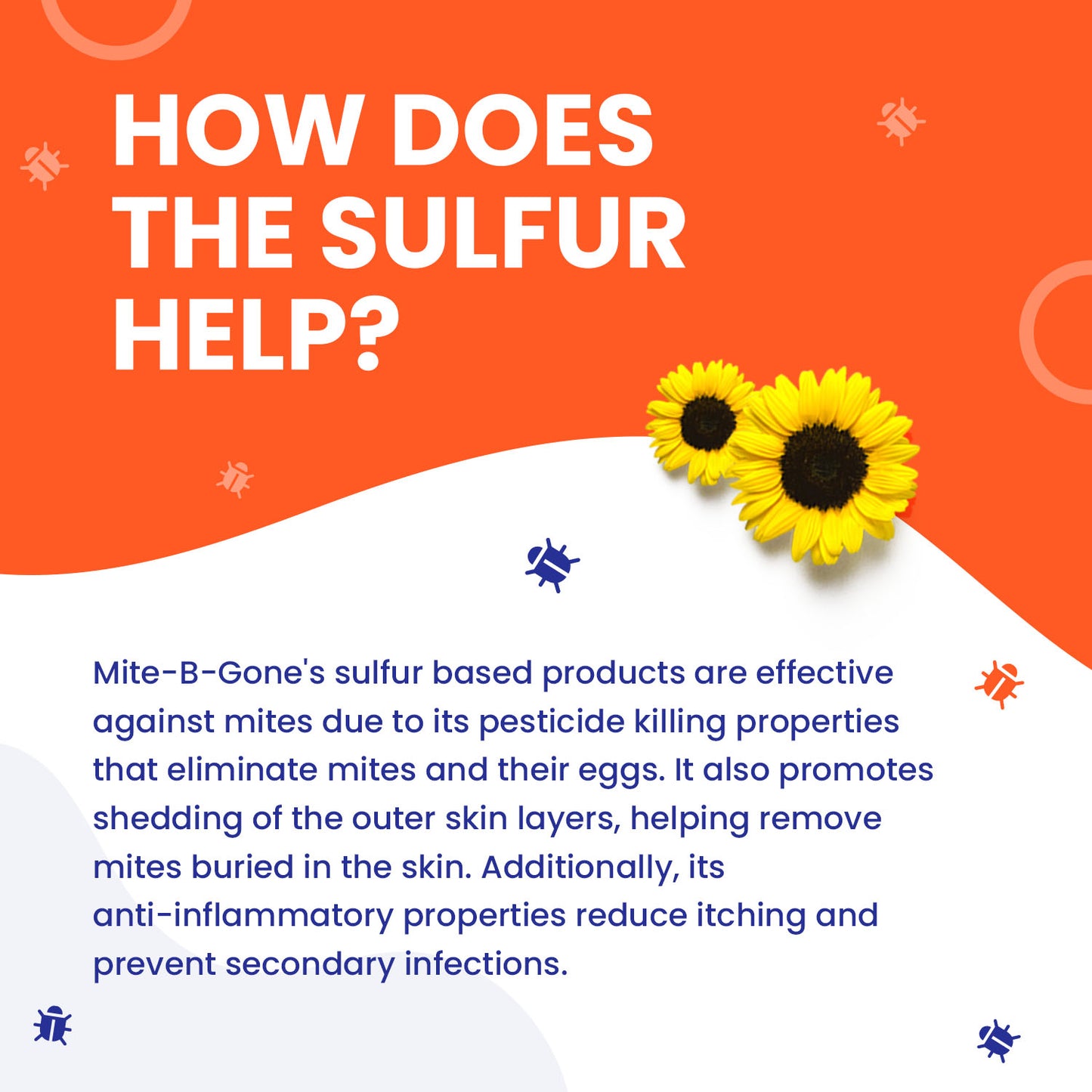 Mite-B-Gone Treatment Kit | Sulfur 4oz Lotion + Multi-Purpose Itch Soap (4 oz)