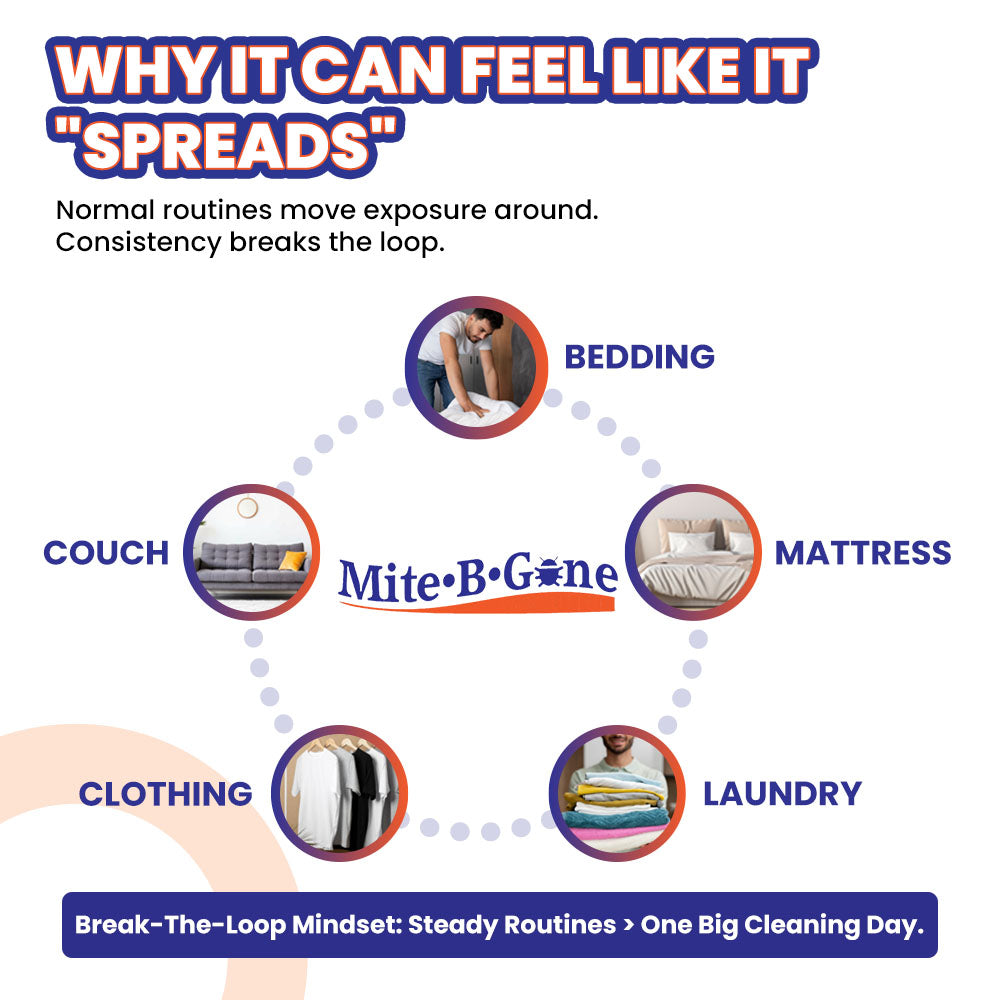 Free In-Depth Mite Guide eBook