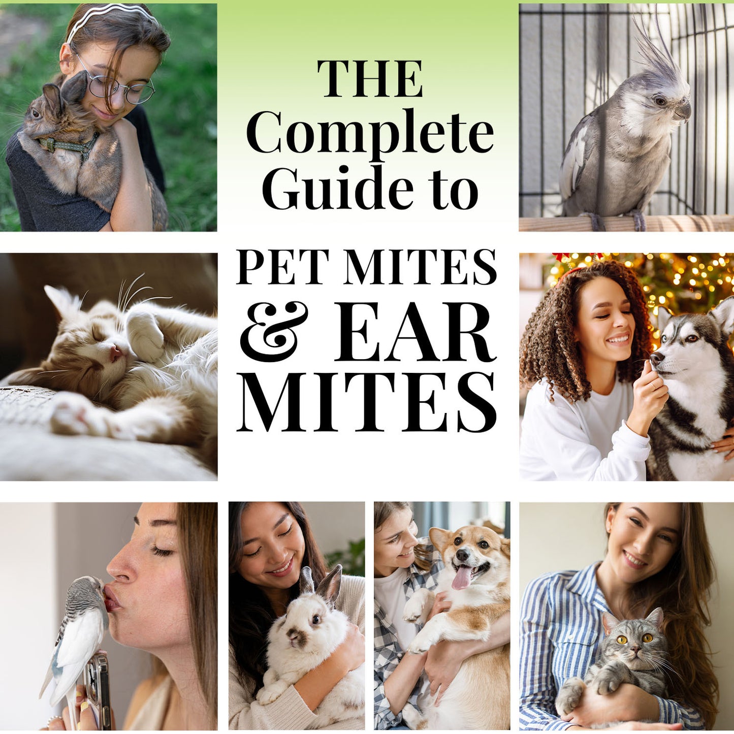 Free Complete Guide to Pet Mites & Ear Mites eBook