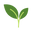 Logo of Naturasil