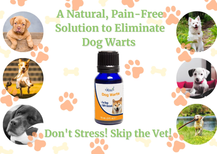 Naturasil for dogs clearance