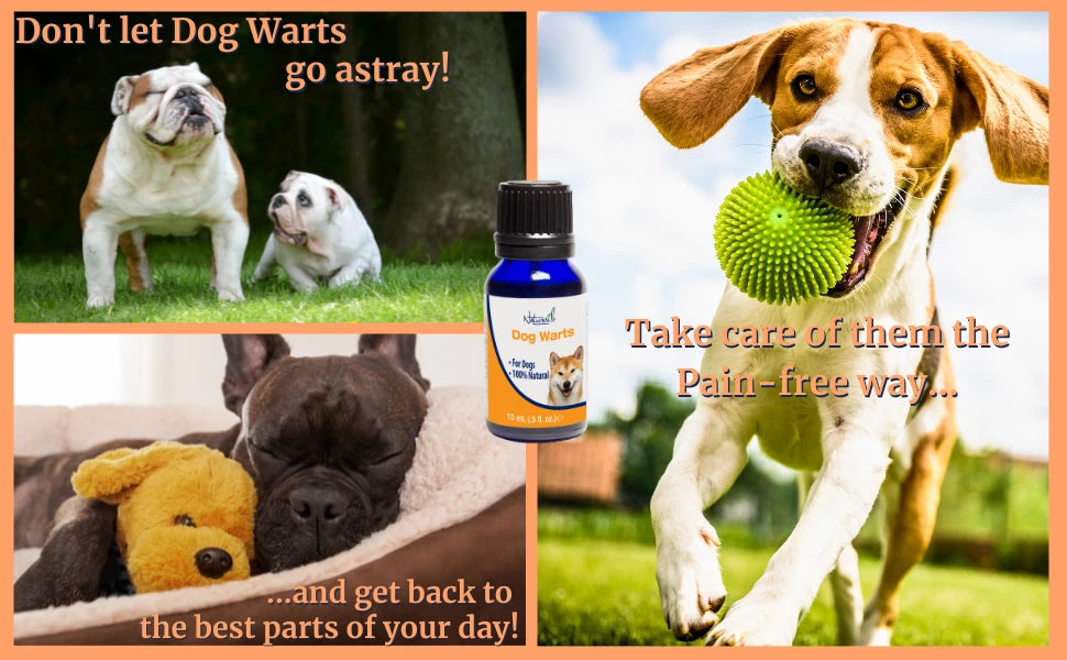 Best dog hot sale wart remover