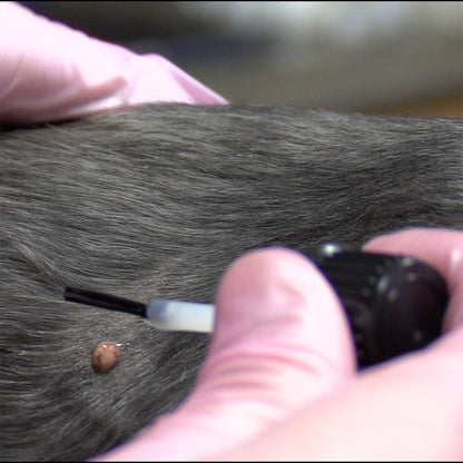 Naturasil Dog Warts & Dog Skin Tag Removal Liquid | 15mL - Naturasil